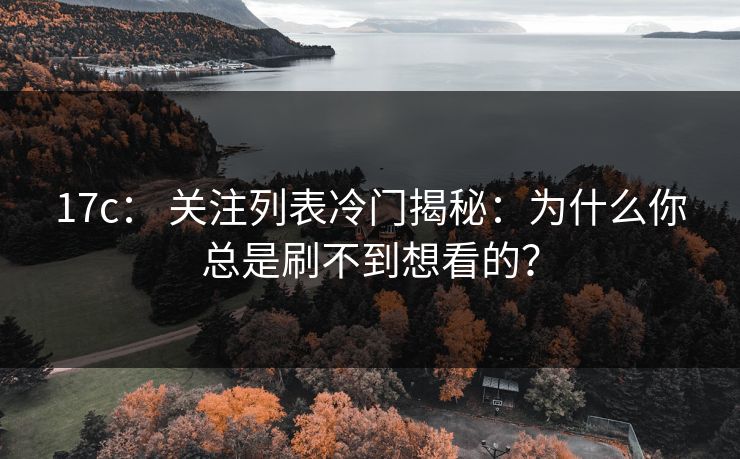 17c： 关注列表冷门揭秘：为什么你总是刷不到想看的？